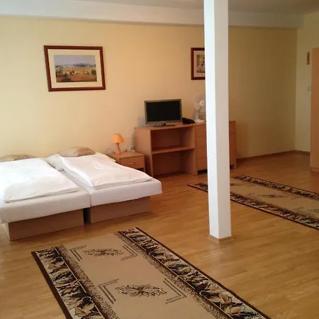 Anton Отель Тепличка-над-Вагом