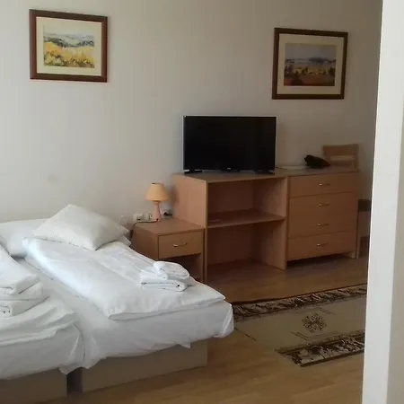 Hotel Anton